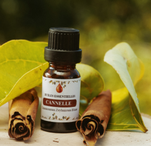 Venta al por mayor de Aceite Orgánico de Ravintsara SAKAY Destilado al Vapor, Mezcla de Hojas para Apoyo Inmunológico, Base con 3 Años de Vida Útil, Marca Privada - Product Image 2