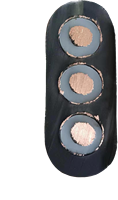 Câble de pompe submersible étanche en cuivre PVC 600V 2,5 mm 3 ou 4 conducteurs