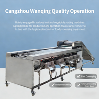 Industriële elektrische roestvrijstalen fruit- en groentesorteermachine met PLC, multifunctioneel voor verwerkingsbedrijven, 220V/380V