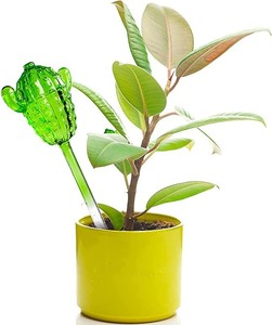 Forma de cactus, dispositivo de cultivo de plantas de interior/exterior, globo de riego de vidrio con picos de agua, regalos novedosos - Product Image 1