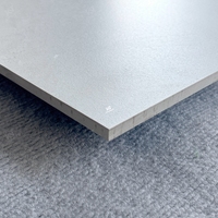 Carreaux de porcelaine gris grand format antidérapants pour intérieur, 60x120, pour salon, cuisine, sol