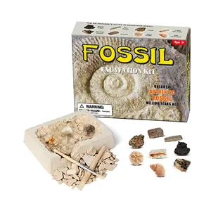 2021 Educatief Speelgoed Stem Science Diy Archeologie Kit Graven Uit Uw Schelpen Fossielen Armband Vergadering Opgraving Kit Voor Kids