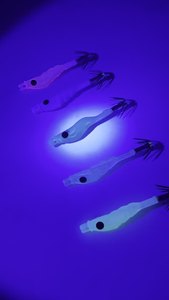 Tubo <span class=keywords><strong>de</strong></span> soplado ultravioleta <span class=keywords><strong>de</strong></span> 5cm, artefacto <span class=keywords><strong>de</strong></span> <span class=keywords><strong>pesca</strong></span> en el mar, anzuelo <span class=keywords><strong>de</strong></span> cebo Tubular <span class=keywords><strong>de</strong></span> pulpo para peces <span class=keywords><strong>de</strong></span> agua salada, camarones ABS artesanales <span class=keywords><strong>de</strong></span> Japón - Product Image 2