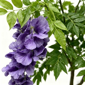 Árbol Artificial Grande de Flor de Frijol, Árbol de Wisteria - Product Image 4