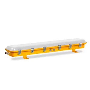 40W 60W IP66 Explosion Proof Dust-proof Led Batten Light Milky Cover Lighting Fixture