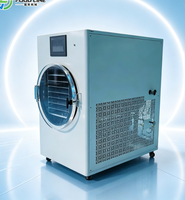 Kleine huishoudelijke vriesdroogmachine voor de productie van appelchips en huisdierensnacks.