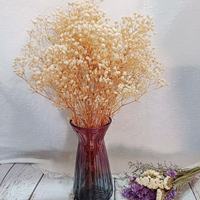 Mini Herbe de la Pampa Séchée en Gros - Fleurs Séchées Naturelles Écologiques Longue Durée pour Décoration de Noël DIY