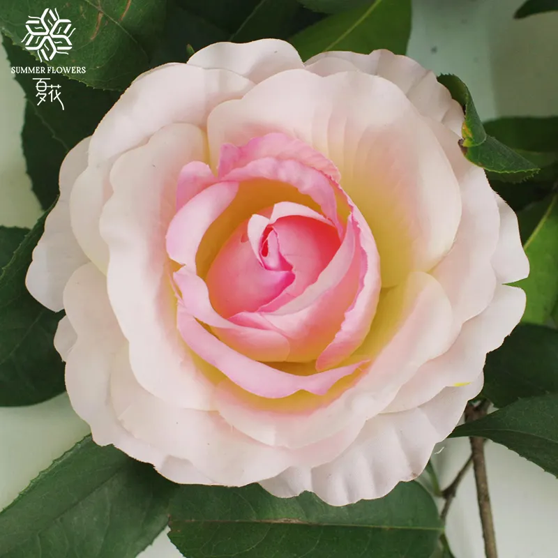 Zhang jiajie Summer Flower meist verkaufte künstliche Seiden vase Dekoration rote Rose Blumen kopf