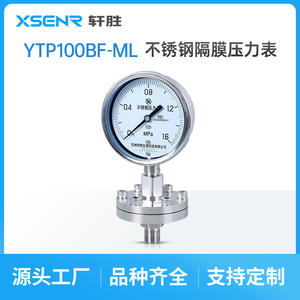 Suzhou Ytp 100bf Diaphragm Pressure Gauge Stainless Steel 100mm Threaded Anti Clogging - Product Image 3