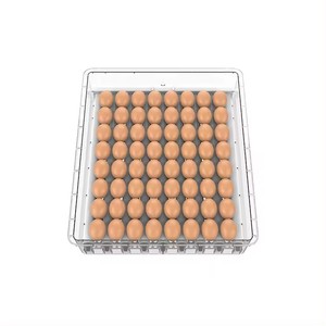 Giá rẻ hoàn toàn tự động <span class=keywords><strong>mini</strong></span> 192 trứng gà lồng ấp để sử dụng nhà - Product Image 5