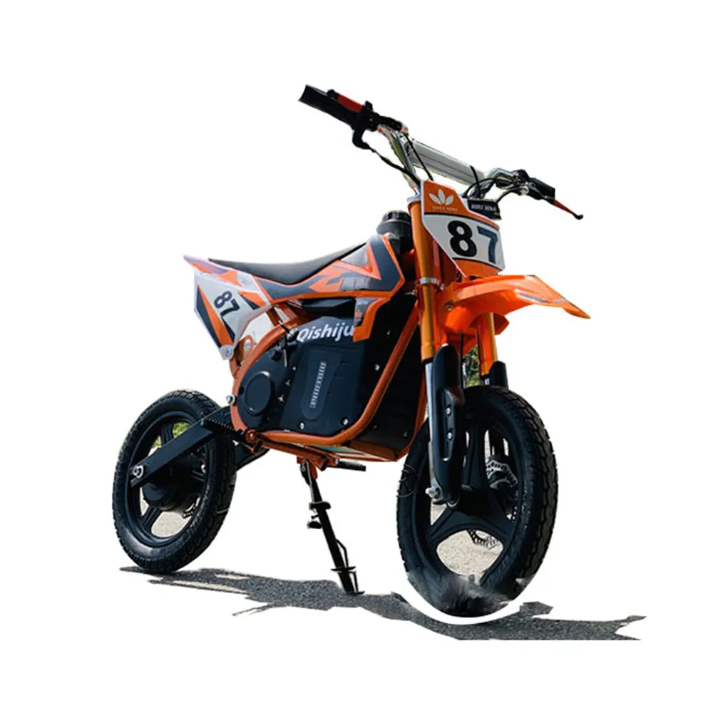 China Hot Sale Dirt Bike Adults Electric Dirt Bikes For Adults Motorcycle Electrical System