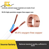 Nationaler Standard Weißer doppel adriger Flach kabel ummantelter Draht 2-adrig 0,75 1,5 4 6 Netz kabel Industrielle Verwendung Kupfer-PVC