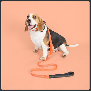 Collier pour <span class=keywords><strong>chien</strong></span> et chat réglable en nylon réfléchissant de haute qualité avec bande pour AirTag et <span class=keywords><strong>GPS</strong></span> - Product Image 5