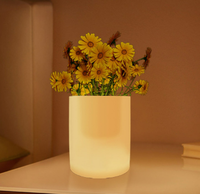 Porte-stylo multifonctionnel en silicone avec lumière d'ambiance pour le rangement de petits objets, veilleuse et lumière d'ambiance pour la décoration intérieure