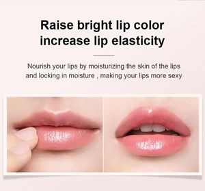 Bálsamo Labial Rosa de Ensueño en Stock, Etiqueta Privada Personalizada, Orgánico, Vegano, Colágeno, Exfoliante Labial de Azúcar con Burbujas, Kit de Cuidado Labial - Product Image 6