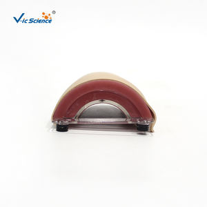 محاكاة طبية نموذج جلد الإنسان محاكاة طبية لخياطة الجلد البشري نموذج التدريب على شق جراحي مهارات خياطة التمرين - Product Image 6