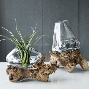 Vase hydroponique transparent vintage en verre soufflé à la main avec base en bois de racine, aquarium pour plantes aquatiques, ornement de table - Product Image 2