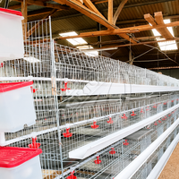Nouveau système de cages à poussins empilables de type H, solution d'équipement commercial d'élevage de volailles pour le projet d'élevage de poussins, galvanisé