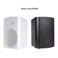 Haut-parleur mural HIFI CS-5 100W WiFi 5.4 Airplay DLNA pour la maison et l'extérieur