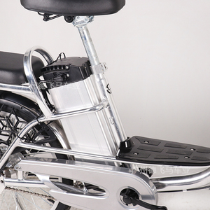Vélo électrique Guangzhou 20 pouces avec moteur arrière 48V 60V 350W, batterie électronique amovible, léger, pour trajets urbains - Product Image 2