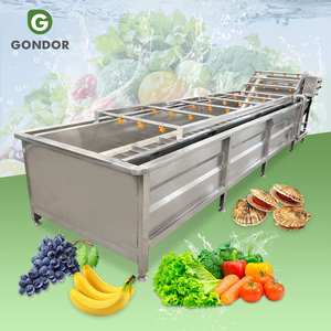 เครื่องล้างผักผลไม้ อุตสาหกรรมทำความสะอาดผักและผลไม้ พร้อมอุปกรณ์และสายการผลิต - Product Image 1