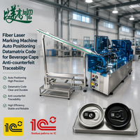 Machine de marquage laser à fibre à positionnement automatique pour codes Datamatrix sur bouchons d'aluminium de boissons, pour la traçabilité et la lutte contre la contrefaçon