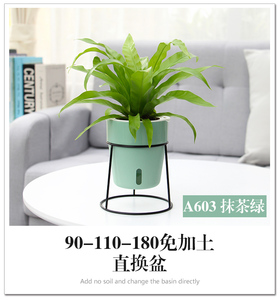 N-oliz — pots <span class=keywords><strong>de</strong></span> fleurs en plastique A603/605/607, pot pour plantes <span class=keywords><strong>de</strong></span> jardin à domicile, avec arrosage automatique pour plantes d'intérieur - Product Image 6