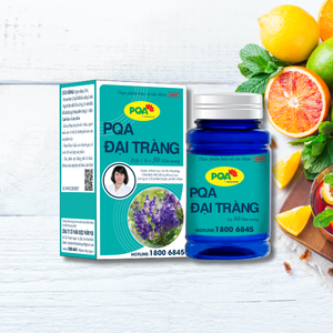 Capsules Coptis Chinensis de haute qualité 36 mois de durée de conservation aide à soulager les symptômes des troubles digestifs femmes enceintes - Product Image 1