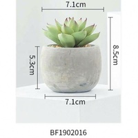 Petits Ornements de Table, Kit de Plantes Succulentes Artificielles dans un Pot en Ciment, Base de 15 cm, Résistant à l'Eau, Écologique, pour la Décoration Intérieure
