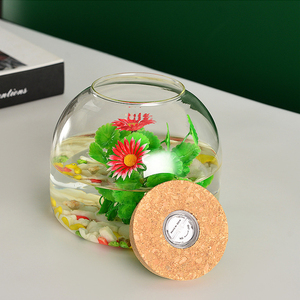 Pot de <span class=keywords><strong>terrarium</strong></span> en verre de forme ronde fait à la main petit pot de réservoir de poissons avec bouchon en liège LED pour la décoration de table de mariage à la maison - Product Image 3