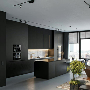 Mobile da <span class=keywords><strong>Cucina</strong></span> Modulare di Lusso Nero Opaco, Stile Moderno, Ecologico, Armadio in Legno Personalizzato, Isola con <span class=keywords><strong>Cassetti</strong></span> in Resina Laminata - Product Image 2