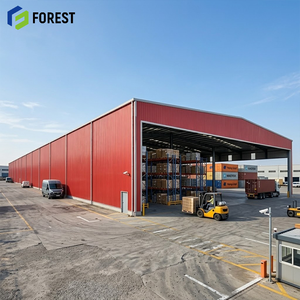 Estructura de Acero Galvanizado a Prueba de Terremotos, Almacén Semiabierto con Gran Espacio Libre, Depósito Logístico - Product Image 1