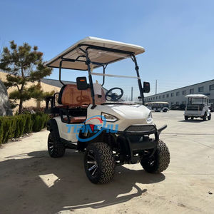 รถกอล์ฟไฟฟ้าที่นั่งเดียวรถกอล์ฟ - Product Image 6