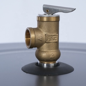 Chauffe-eau en acier inoxydable Gosbel SS304 avec eau chaude – Prix compétitifs 100L, 150L, 200L, 250L, 300L, 400L, 500L - Product Image 4