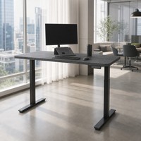 Table de bureau électrique silencieuse en bois AOR, réglable en hauteur, double usage assis-debout, pour ordinateur, couleurs personnalisables