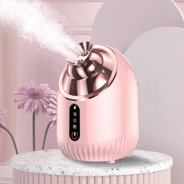 Household Nano Ionic Ultrasonic Face Steamer Facial Warm Mist Humidifier Atomizer Cold Hot Hydration Electric 240ml Water Tank
