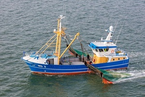 Grandsea 105ft Seaworthy coppia pescherecci da traino laterali nave da pesca commerciale per la vendita - Product Image 3