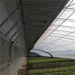 Greenhouse solar passiva com baixo custo, em-solar, economia de energia solar, agricultura