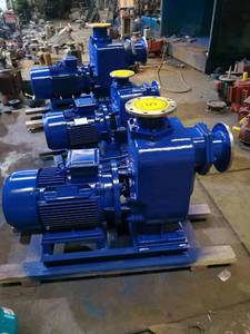 Pompe à eaux usées, pompe centrifuge horizontale auto-amorçante anti-colmatage pour conduites, achetez des pompes auto-amorçantes ZW, ZX - Product Image 3