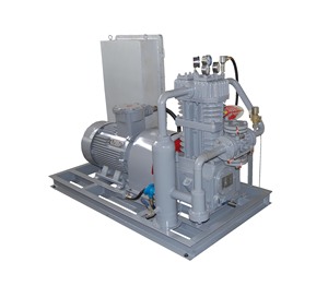 Petit compresseur de gaz à fréquence variable, sans huile, à lubrification par courroie, refroidi par air, BT4 - Product Image 2