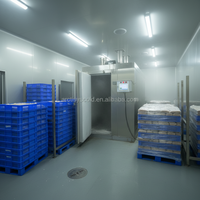 Congélateur à rayons personnalisé de 100 kg pour grande chambre froide -45°C ° Congélateur à choc industriel pour chambre froide, idéal pour la viande, le poisson, les fruits de mer et la crème glacée