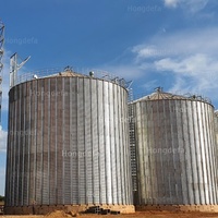 Silo di stoccaggio per grani in acciaio zincato a caldo | 500T-10000T personalizzabile Silo in acciaio ondulato imbullonato per riso di frumento di mais