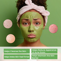 OEM ODM Boue hydratante pour le visage Bâton de masque à l'argile à l'armoise verte pour les points noirs