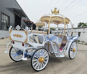 Carruaje Eléctrico de Alta Calidad sin Caballos, Estilo Carruaje de Cenicienta, para Paseos Turísticos, Bodas y Eventos - Product Image 5
