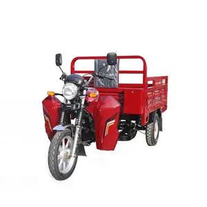 YOUNEV 200CC 12V high performance air-cooled engine gasoline cargo Heavy duty tricycle for sale