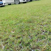 Dalles Stabilisatrices de Sol Équestres pour Paddock, Grilles Anti-Boue et Gravier