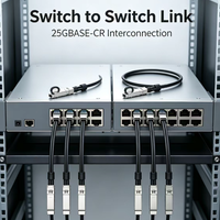 Kabel DAC SFP28 25Gb/s 25GBASE-CR1 Kabel Tembaga Pasif Direct Attach Kompatibel dengan Switch dan Server