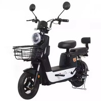 2024 usine chinoise avec certificat CE Offre Spéciale 500w 48v 60v 20ah vélo électrique vélo électrique