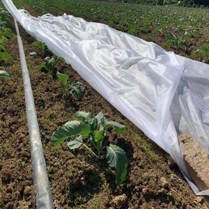Tela no tejida spunbond PP para agricultura, tejido negro con UV 1%-6%, para agricultura - Product Image 3