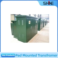 Transformateur personnalisable monophasé/triphasé 5 MVA 11 kV pour l'électrification rurale et les mini-postes de transformation